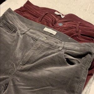 2 pair loft Corduroys